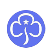 Rainbows Brownies and guides logo